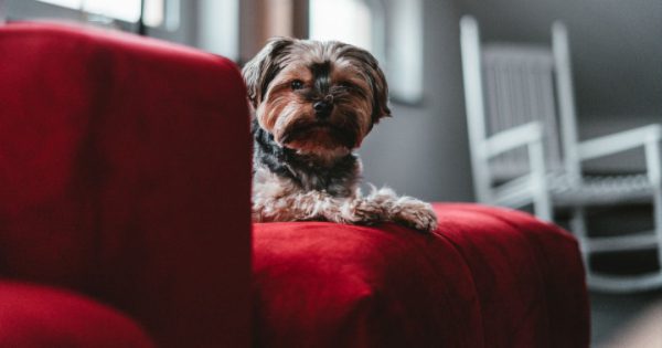 https___www.okinus.com_furniture-appliances-electronics_ https___www.okinus.com_furniture-appliances-electronics_